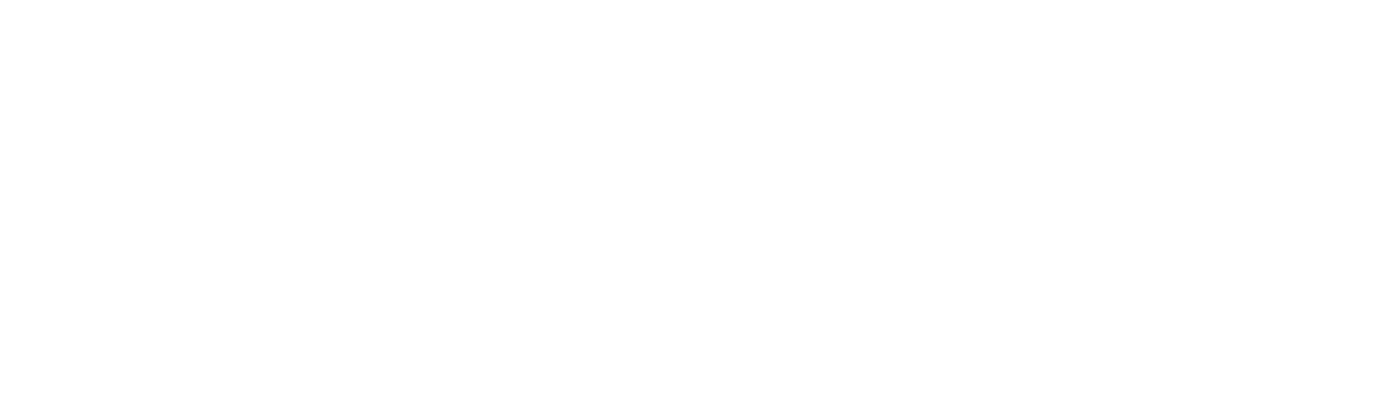 Ambarella logo